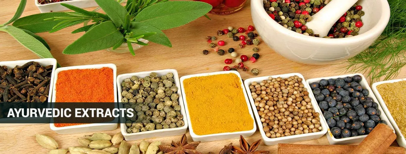 Herbal Extracts Supplier in Ahmedabad