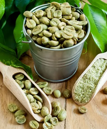 Green Coffee Extract 45% - Green Coffee Extract 50%, Ahmedabad, Gujarat, Rajkot, India
