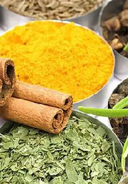 Herbal Extracts, Herbal Extracts Supplier in Ahmedabad