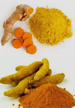 Curcumin Extracts, Herbal Extracts India