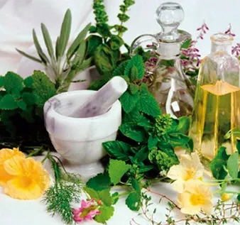 Herbal Extracts India, Herbal Concentrates